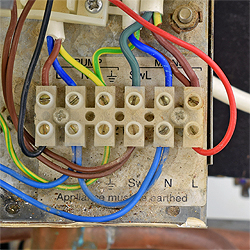 bx pt celsia 50 f1 337489 ter.jpg